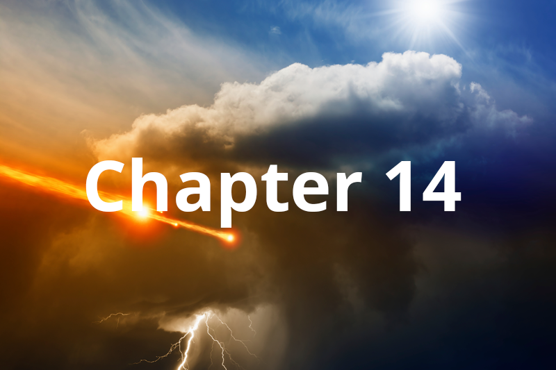 The Transitional Generation Chapter 14